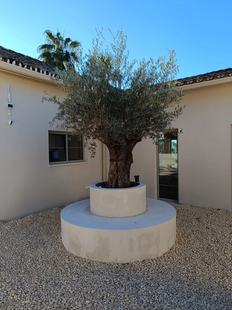 Fotos de Viveros Sepúlveda  Vivero en Marbella  Garden Center Marbella, Calle Caqui, Marbella, 29604